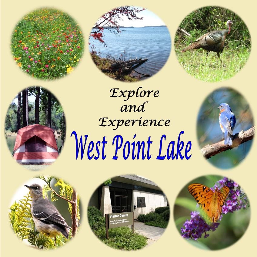 West Point Lake image